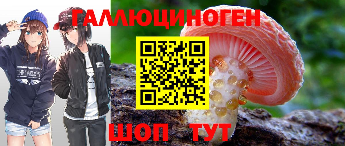 Галлюциногенные грибы мухоморы Старая Купавна