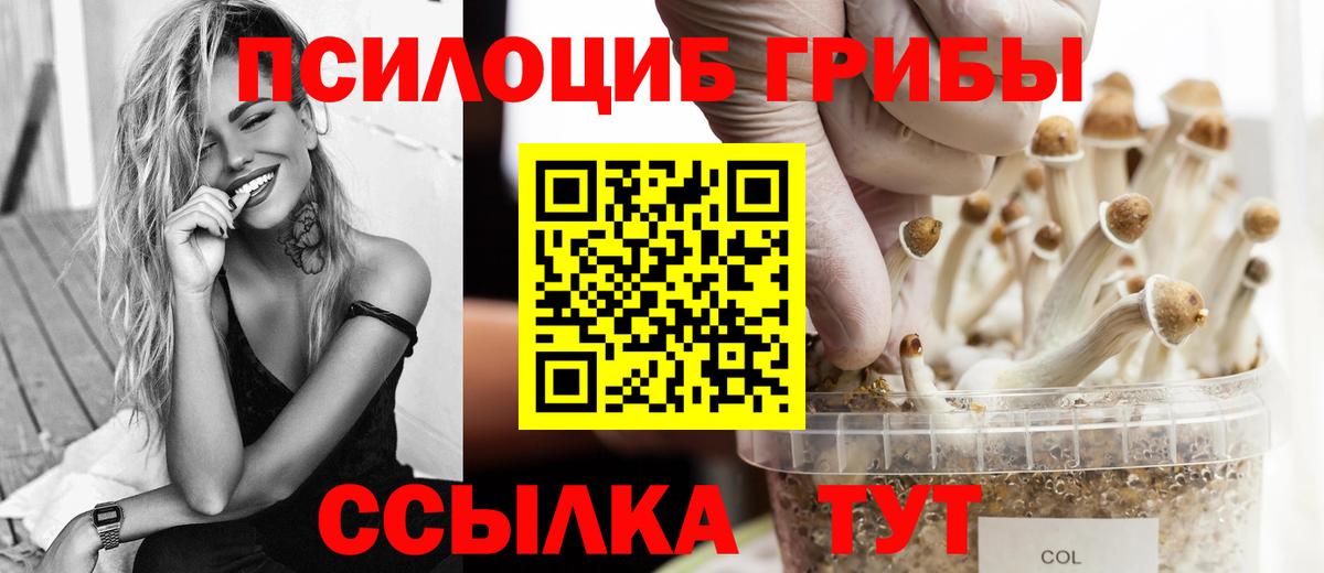 Псилоцибиновые грибы мицелий  Галлюциногенные грибы мицелий  Вход с VPN  Старая Купавна 